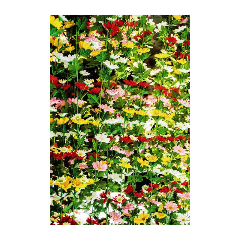 FLOWERED WALL wallpaper - Plant wallpaper