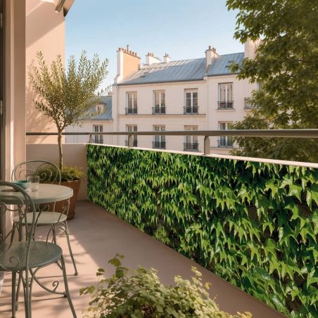 Brise vue VIGNE VIERGE