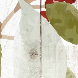 AQUARELLA FLORA privacy screen