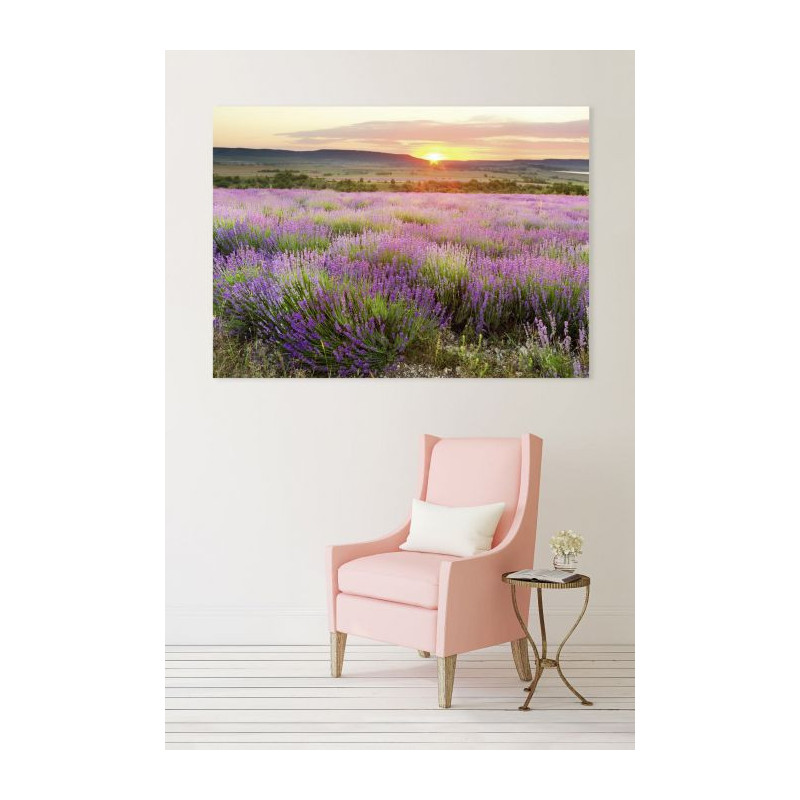 DAWN IN PROVENCE Canvas print