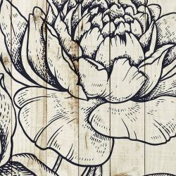 Pantalla de privacidad GRAPHIFLORA