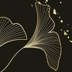 GINKGO privacy screen