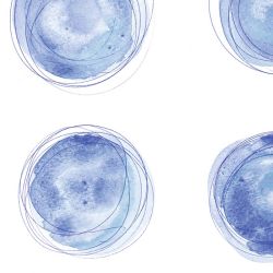 BLUE POINTS privacy screen