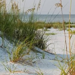 BEHIND THE DUNES Privacy screen