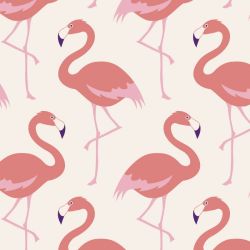 Zoom sur le motif flamant rose du papier peint