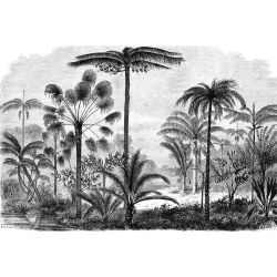 PALM TREE ENGRAVING Wallpaper