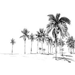 PALM GROVE wallpaper