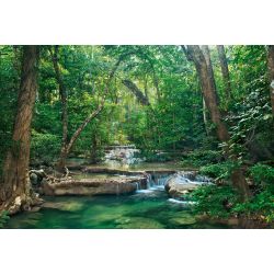 Papel pintado EL BOSQUE ESMERALDA