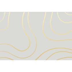 SILVER CURVES wallpaper