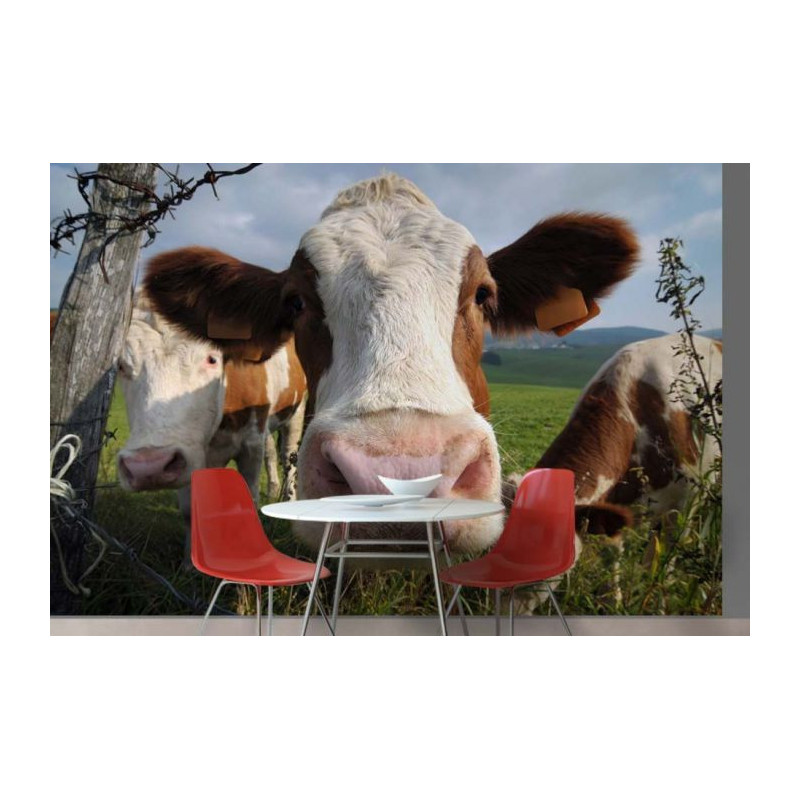 Papier Peint monobloc OH LA VACHE