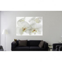 ORCHIDEE poster