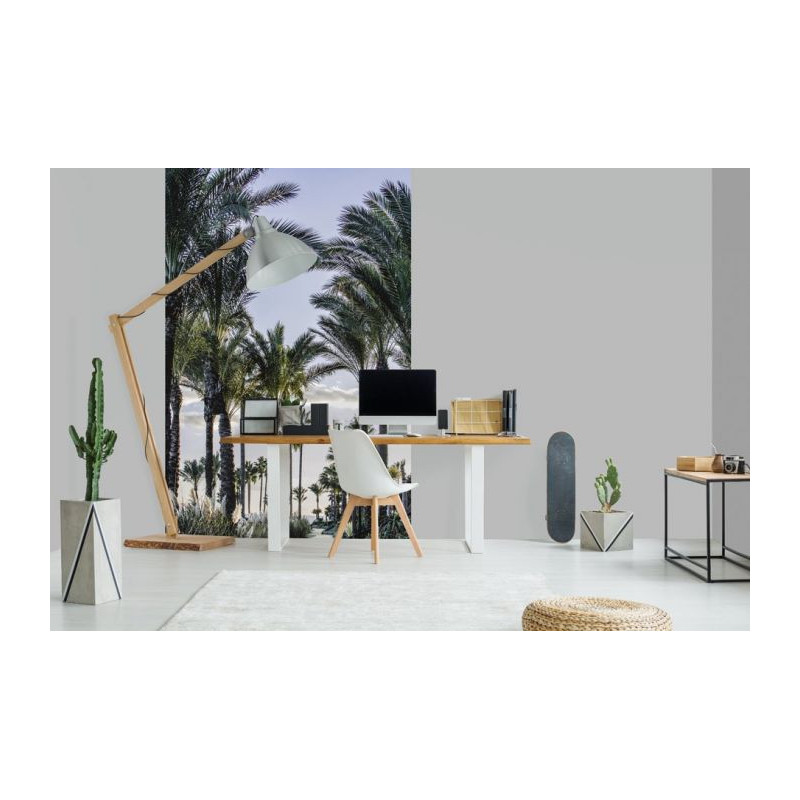 PALM TREE ON THE COAST Wallpaper