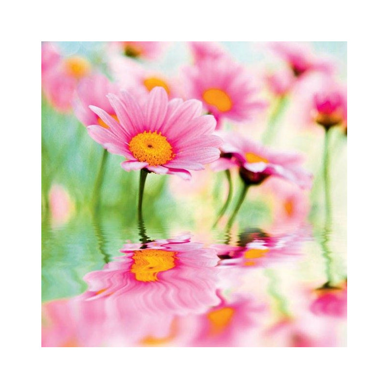 PINK DAISIES Privacy screen - Outdoor floral privacy screen
