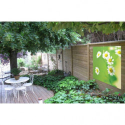 GREEN DAISIES privacy screen