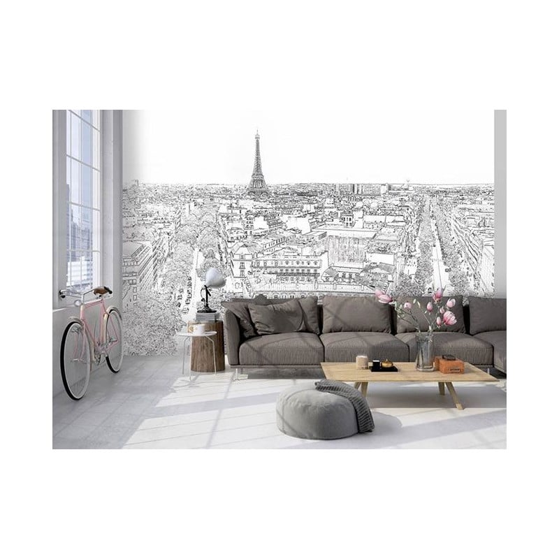 Papier peint salon dessin Paris