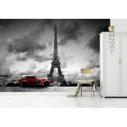 Póster PARIS BLANCO Y NEGRO