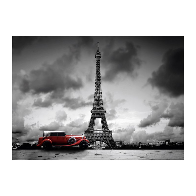 PARIS BLACK AND WHITE canvas print - Canvas print paris