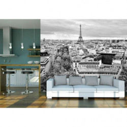 Póster PANORAMA DE PARÍS