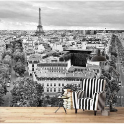 Póster PANORAMA DE PARÍS