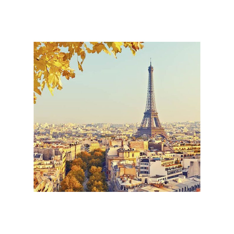 Papel pintado OTOÑO EN PARÍS - Papel pintado panoramico