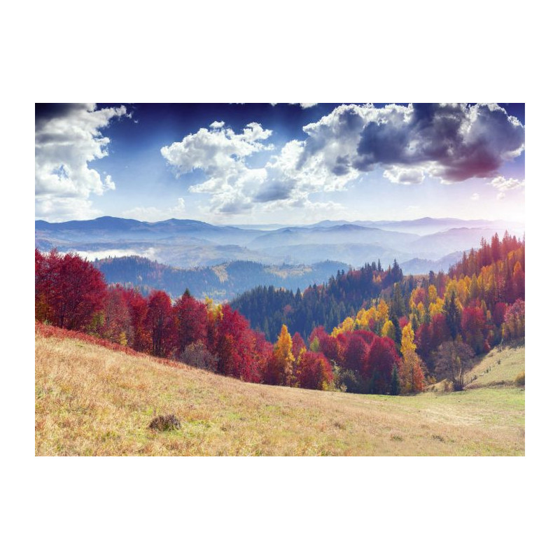 AUTUMN LANDSCAPE Canvas print - Living room canvas print