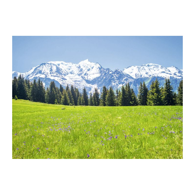 MONT BLANC LANDSCAPE canvas print - Landscape and nature canvas