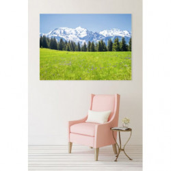 Tableau grand format prairie au pied du Mont Blanc