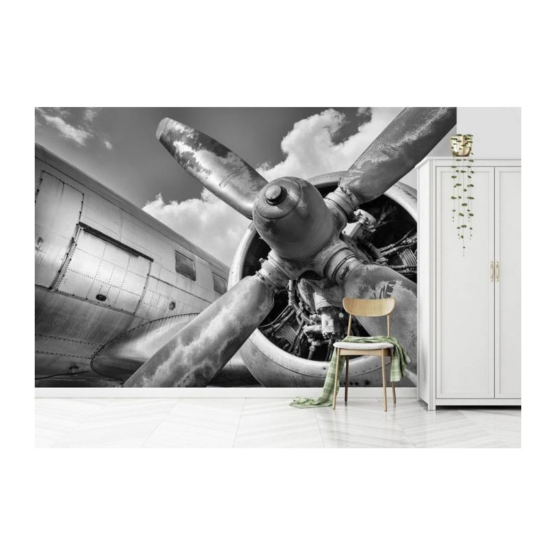 Papier Peint AVIATION