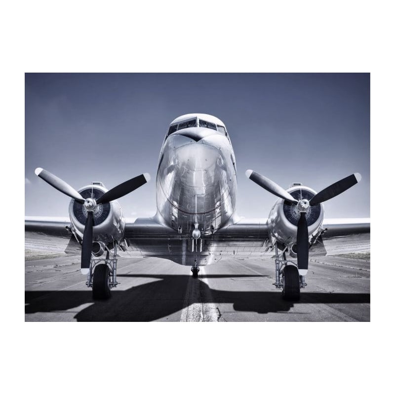 PROPELLER PLANE Canvas print - Xxl canvas prints