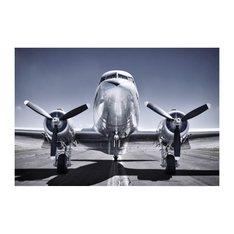 PROPELLER PLANE Poster - Panoramic poster