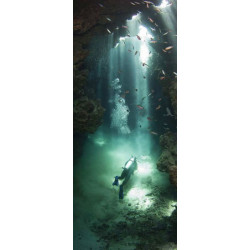 Póster BUCEO