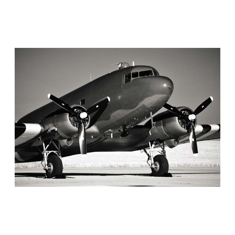 Poster AVION DOUGLAS DC3 - Poster panoramique