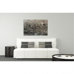 PLUME canvas print