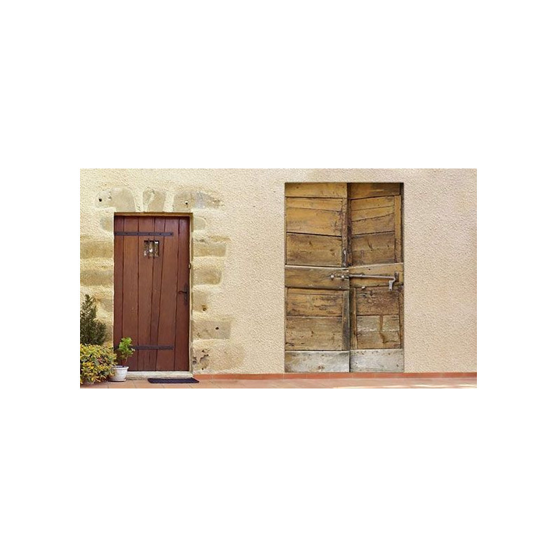 ANTIQUE WOODEN DOOR Privacy screen