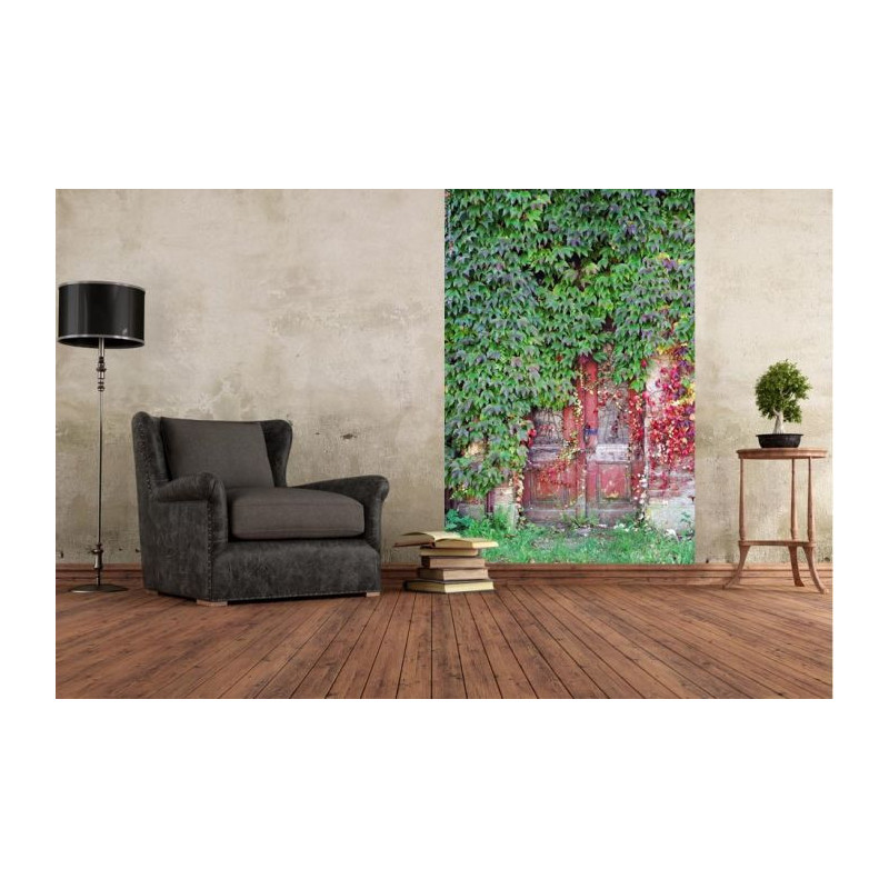 Tapiz para pared PUERTA CERRADA