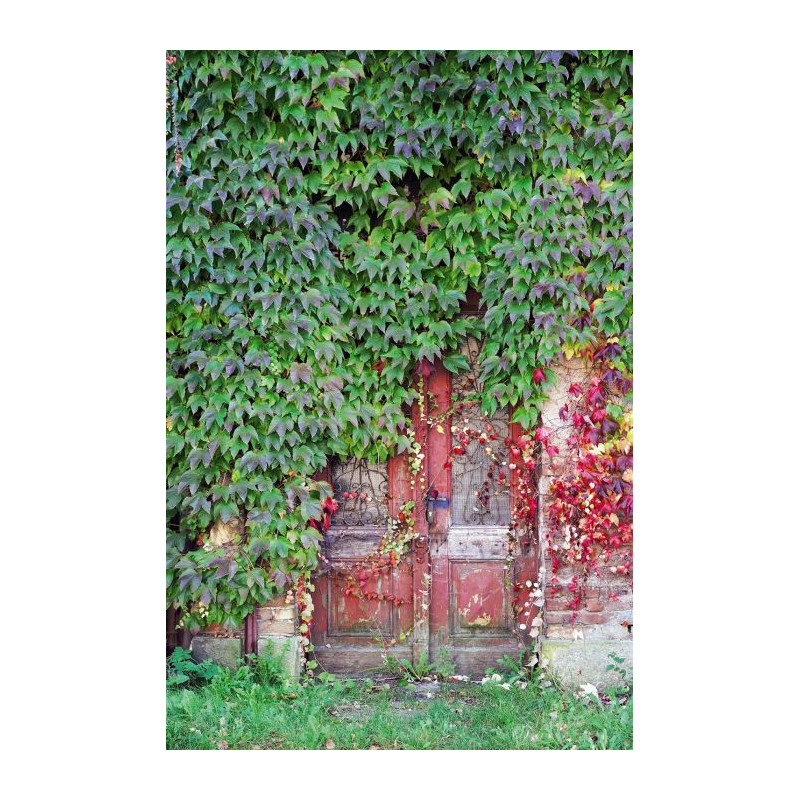 LOCKED DOOR wallpaper - Trompe l oeil wallpaper