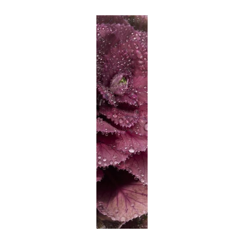 Pantalla de privacidad PURPURA - Decoracion floral exterior