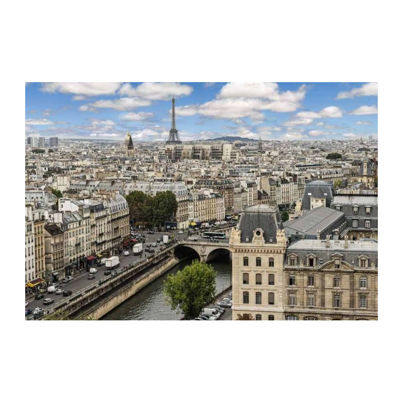 Papier peint panoramique PRINTEMPS A PARIS - Papier peint panoramique