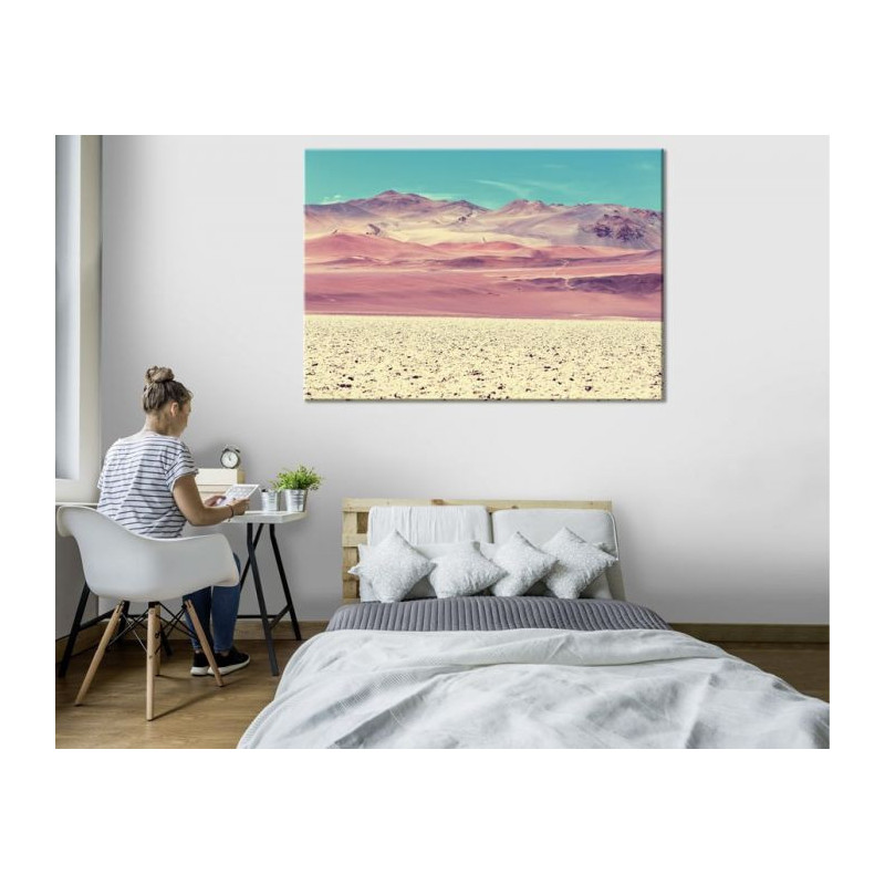 PUNA ARGENTINA canvas print