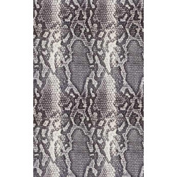 PYTHON wall hanging