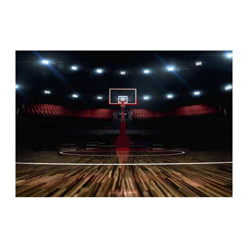 BASKETBALL ROOM Poster - Panoramic poster