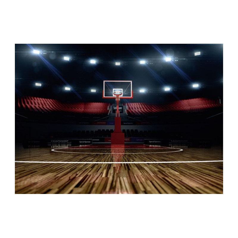 BASKETBALL ROOM Canvas print - Trompe l oeil painting