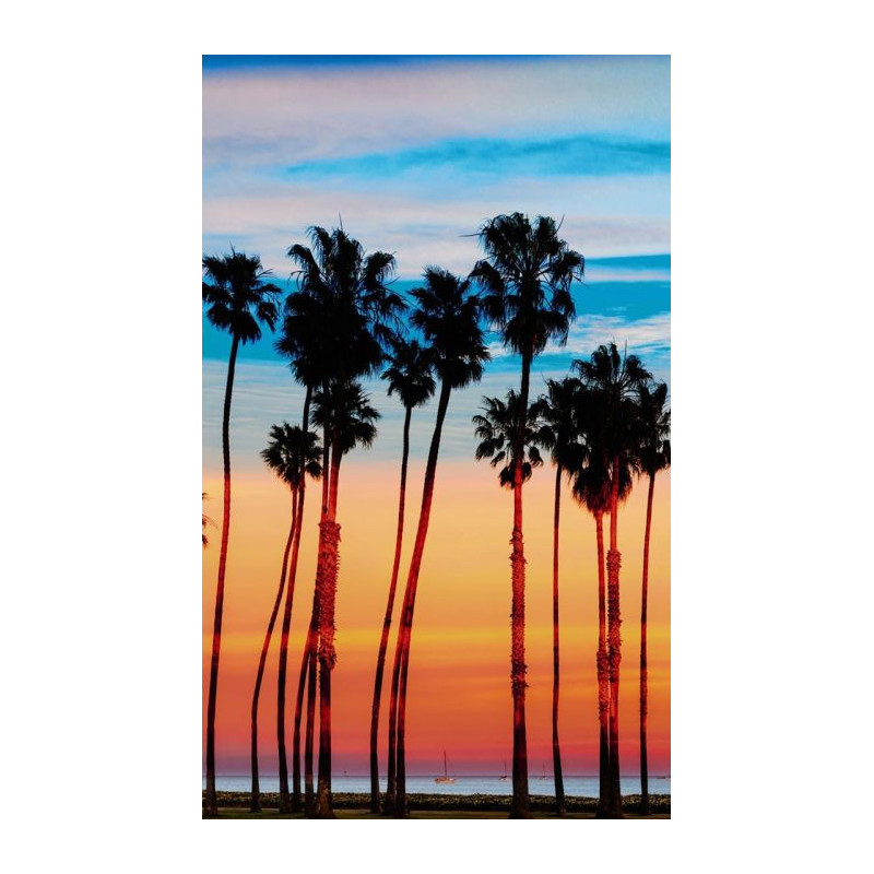 SANTA MONICA wall hanging - Nature wall hanging