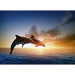 Lienzo impreso SALTO DE DELFINES