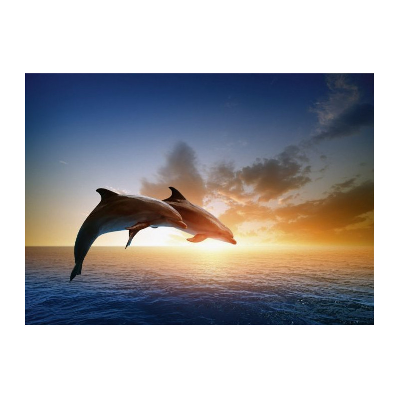 Tableau SAUT DES DAUPHINS - Tableaux xxl