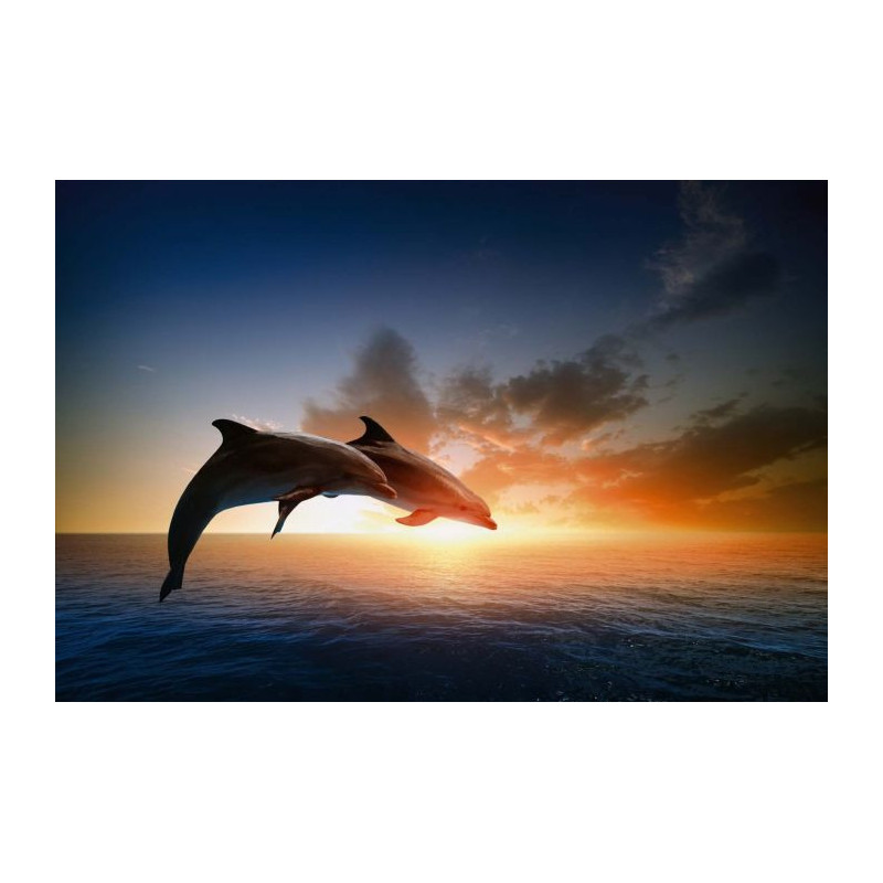 DOLPHINS JUMP Poster - Panoramic poster