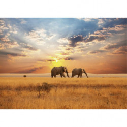 Lienzo impreso SABANA AFRICANA