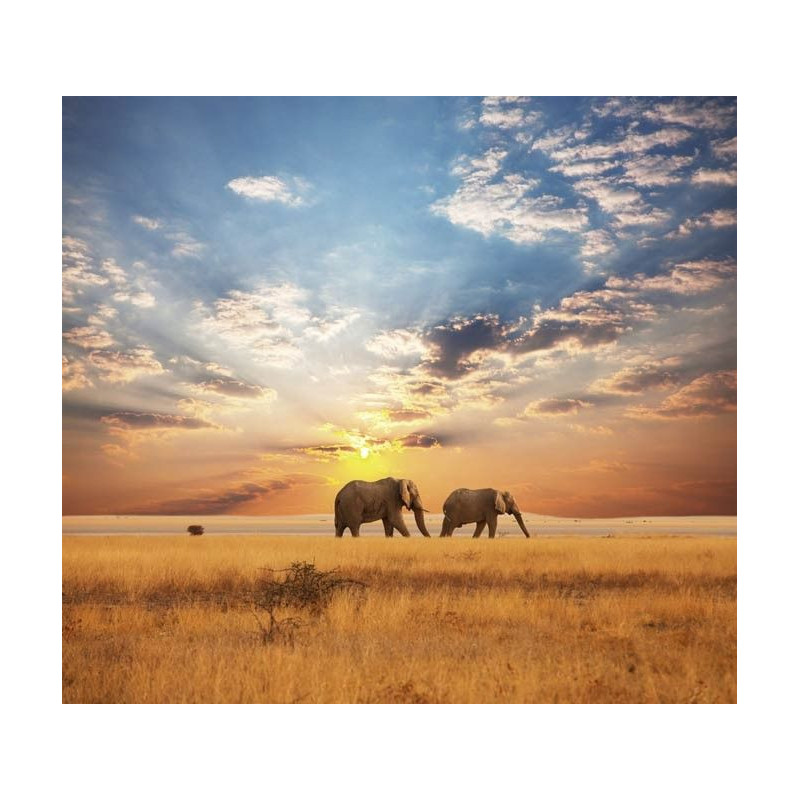 Papel pintado SABANA AFRICANA - Papel pintado panoramico