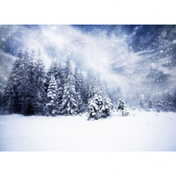 UNDER THE SNOW Canvas print