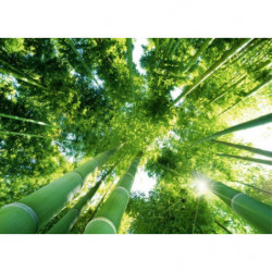 UNDER THE BAMBOO canvas print